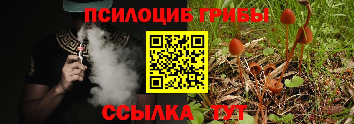 Галлюциногенные грибы Psilocybe  Галлюциногенные грибы GOLDEN TEACHER  Вход с VPN  Ачинск 