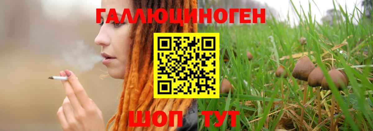 Галлюциногенные грибы мухоморы Ачинск